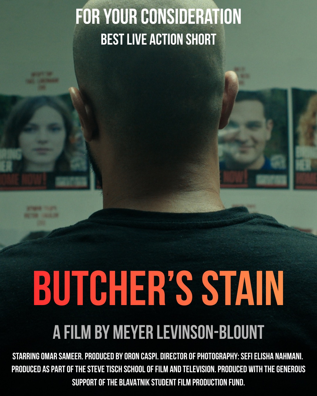 Butcher's Stain