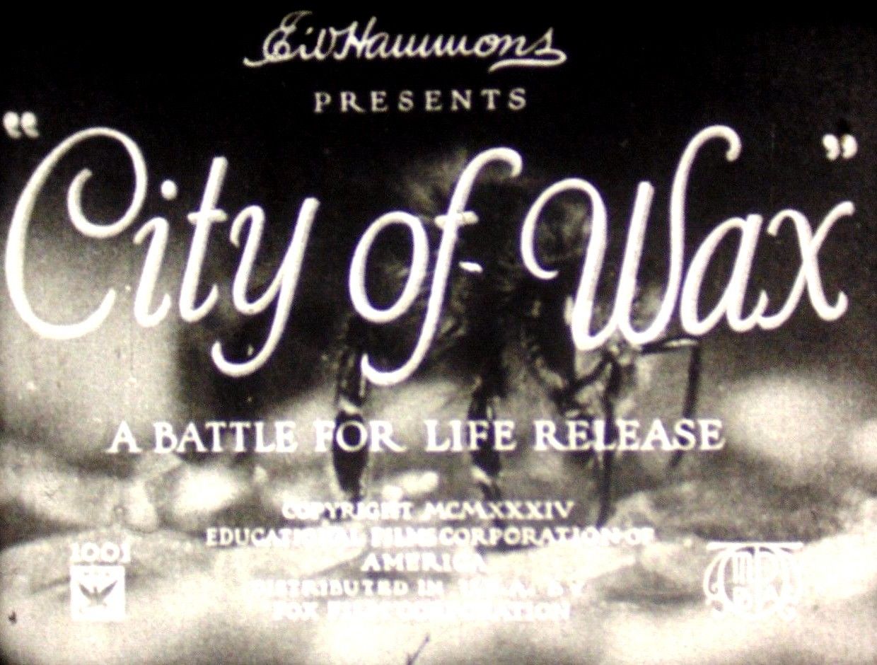 City of Wax